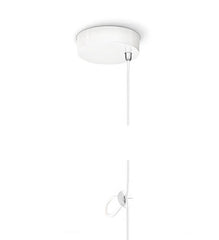 Falling Star Suspension Pendant -Tobias Grau - Lighting from Ambience Systems Queenstown