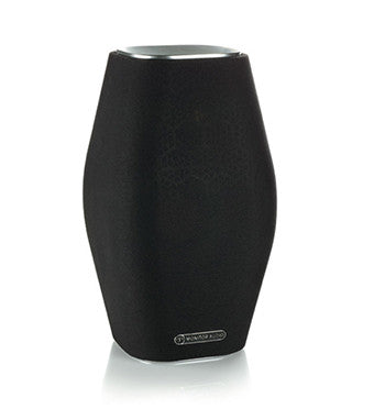 MONITOR AUDIO MASS 10 SPEAKER